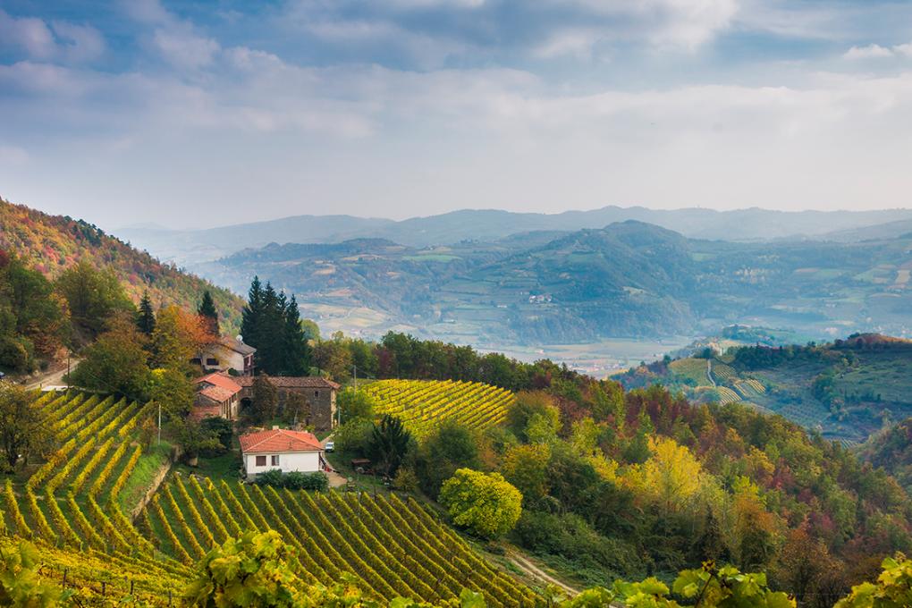 A Driver's Dream In Italy