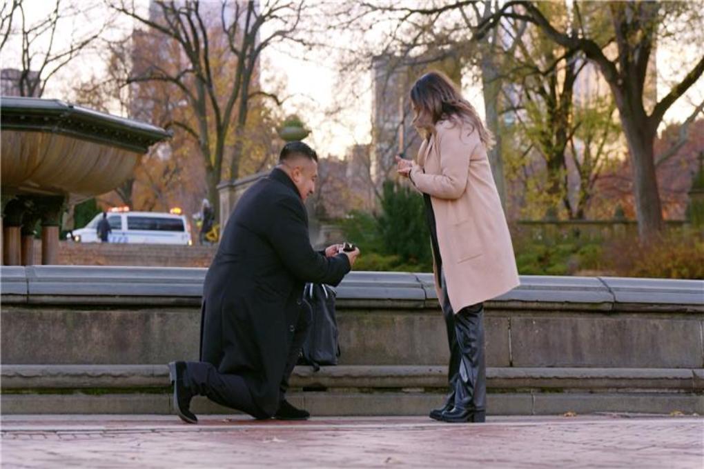 The Platinum Proposal